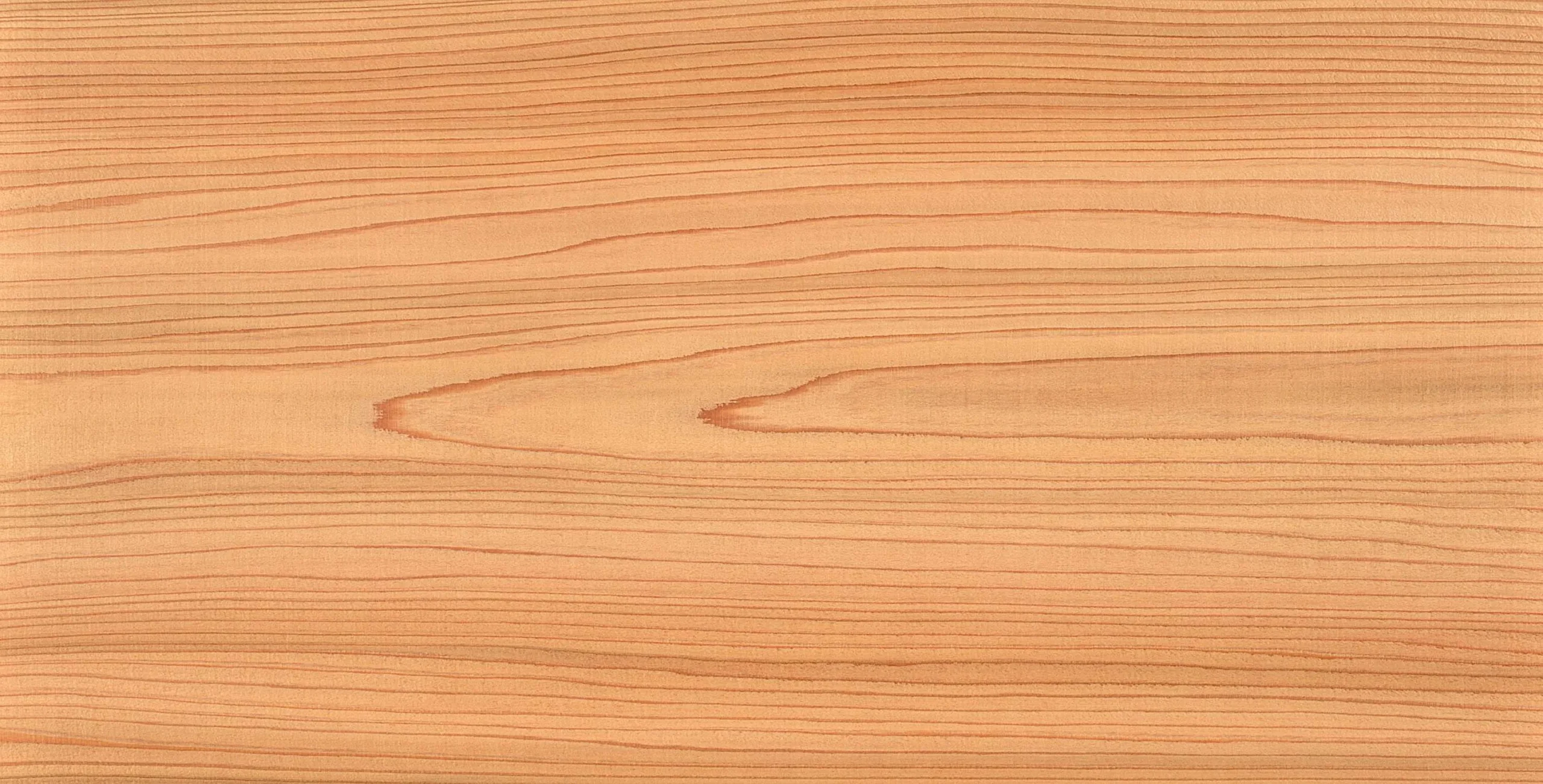Lưu nháp tự động