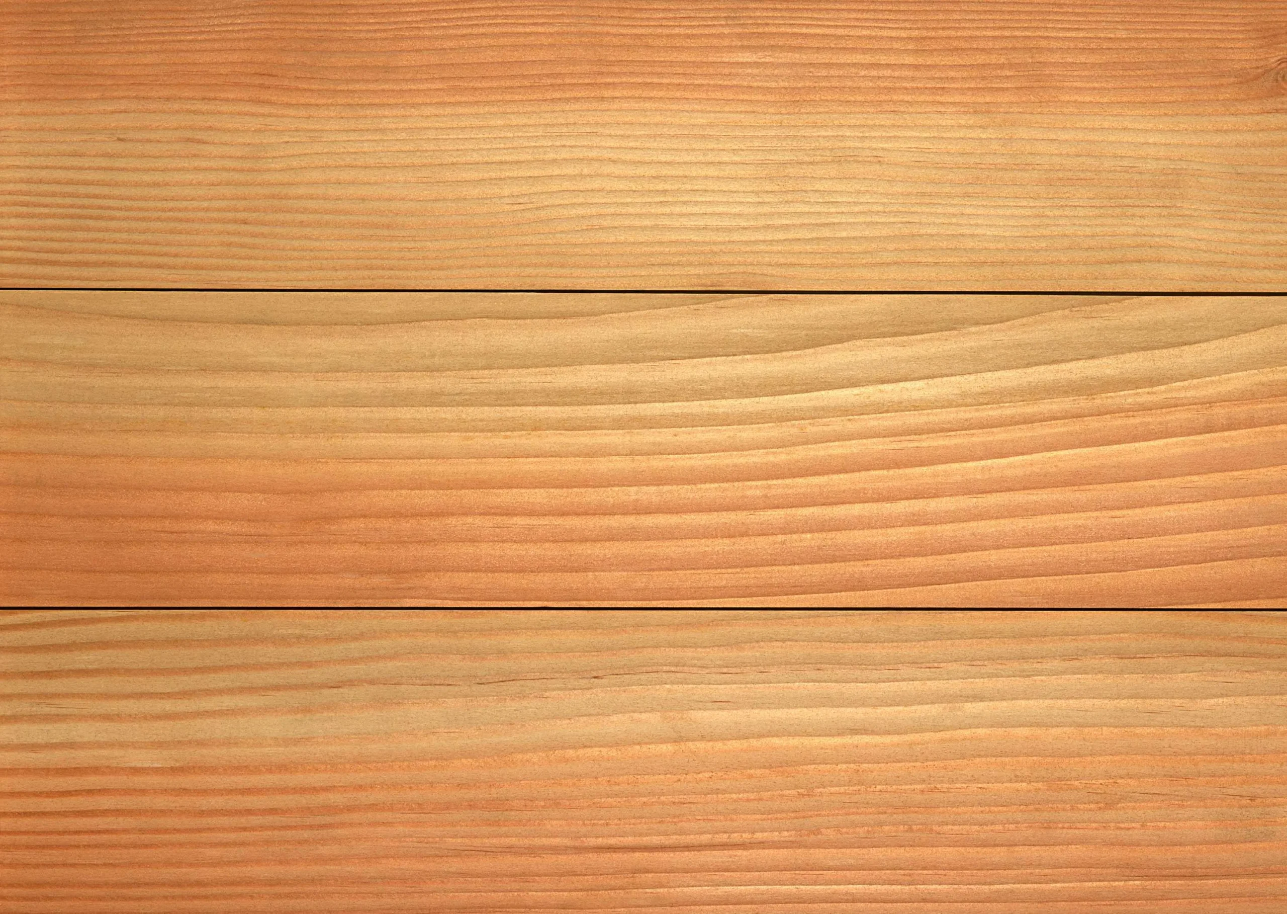 Lưu nháp tự động