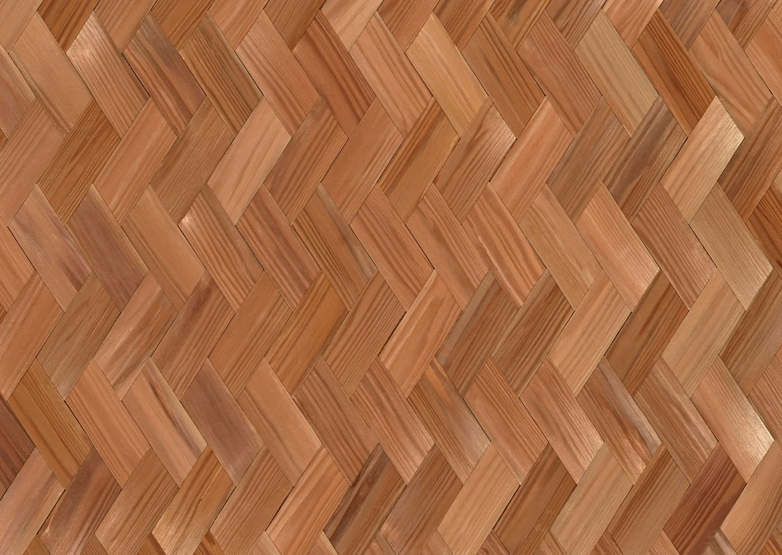 Lưu nháp tự động