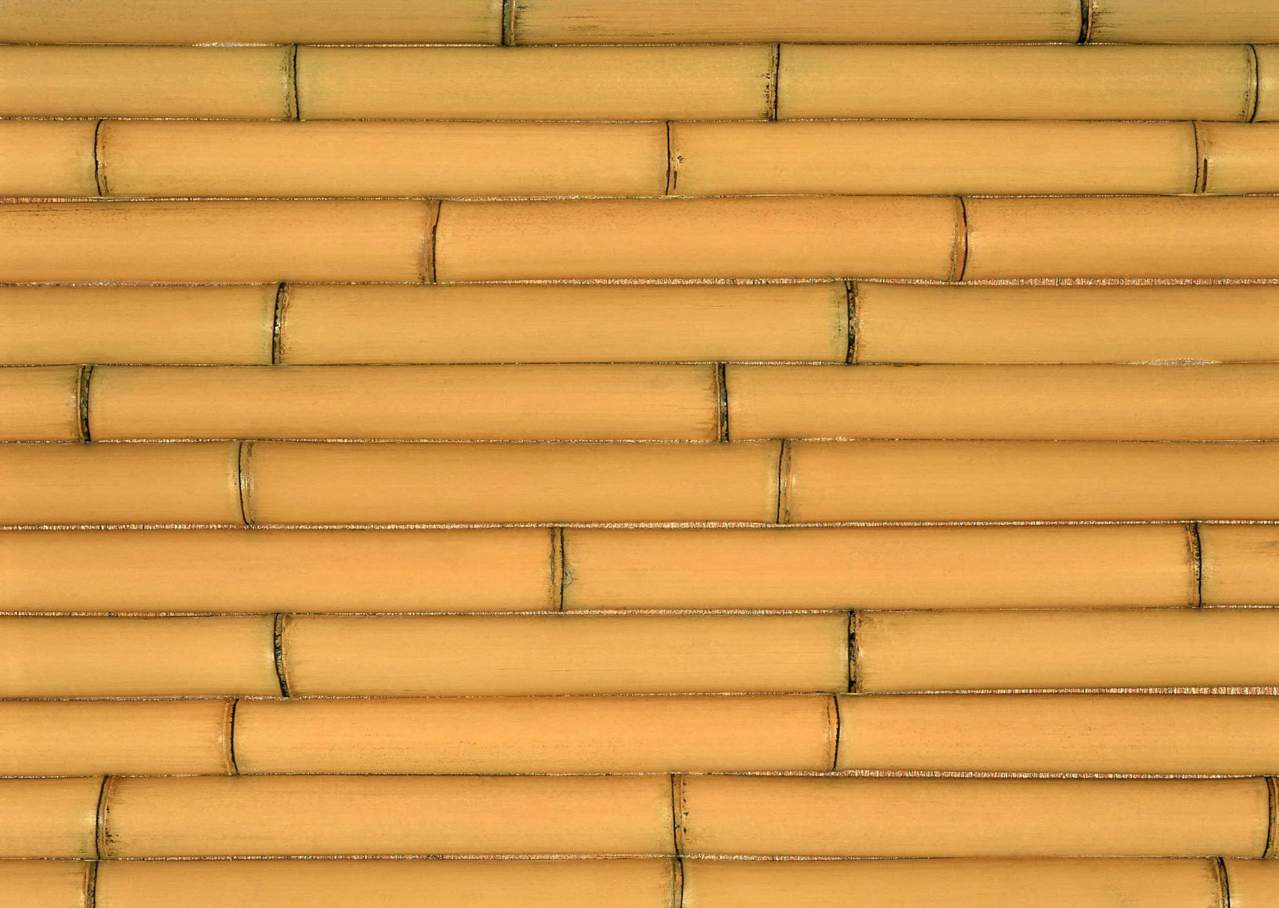 Lưu nháp tự động