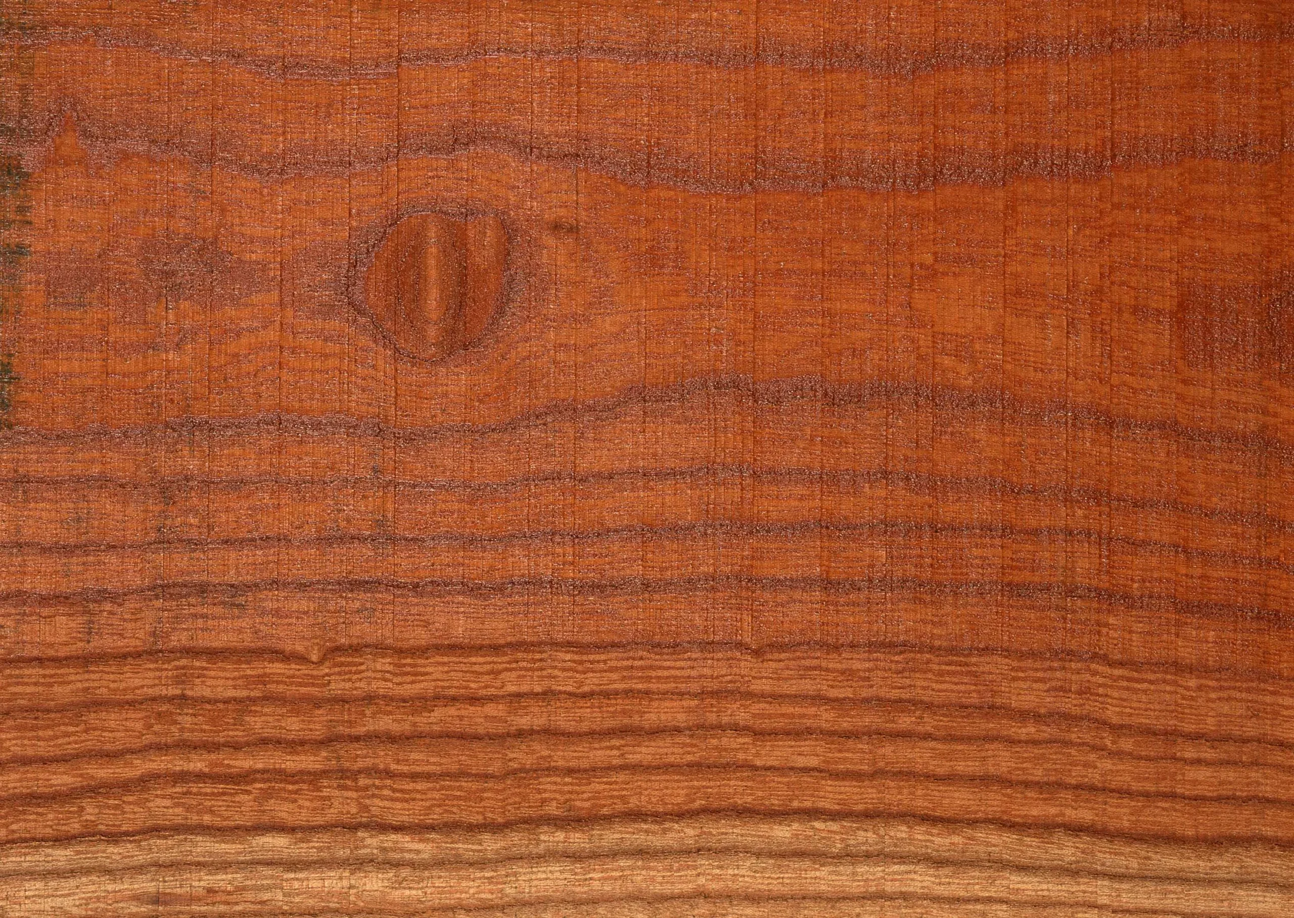 Lưu nháp tự động