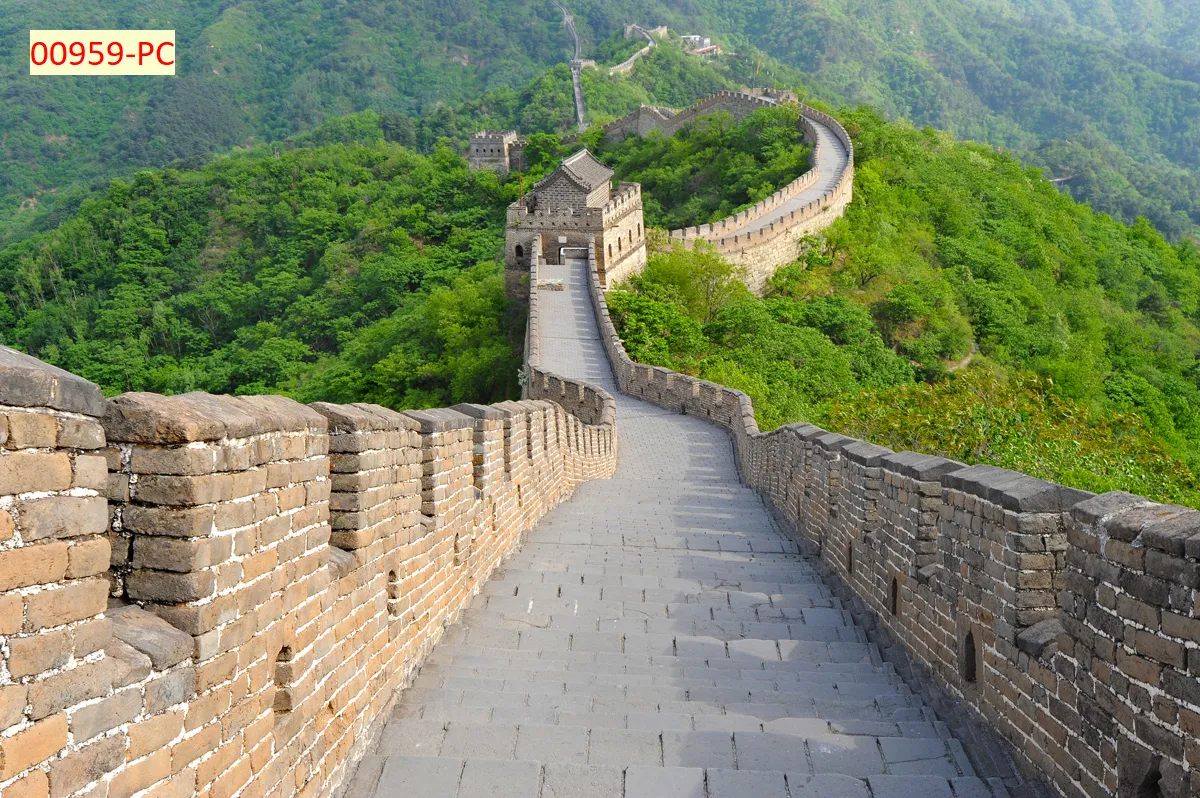 Lưu nháp tự động