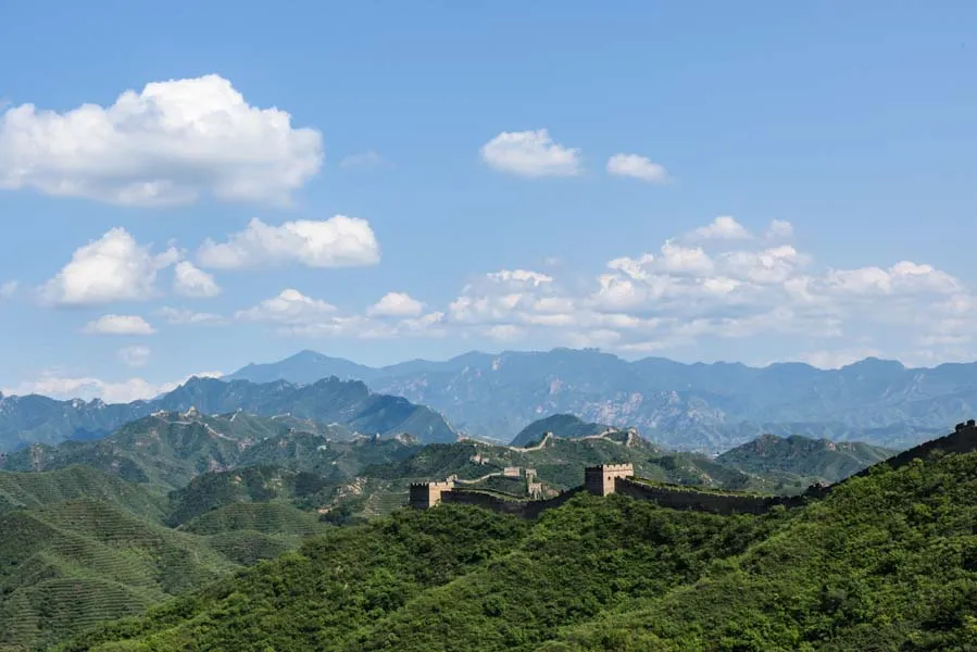 Lưu nháp tự động