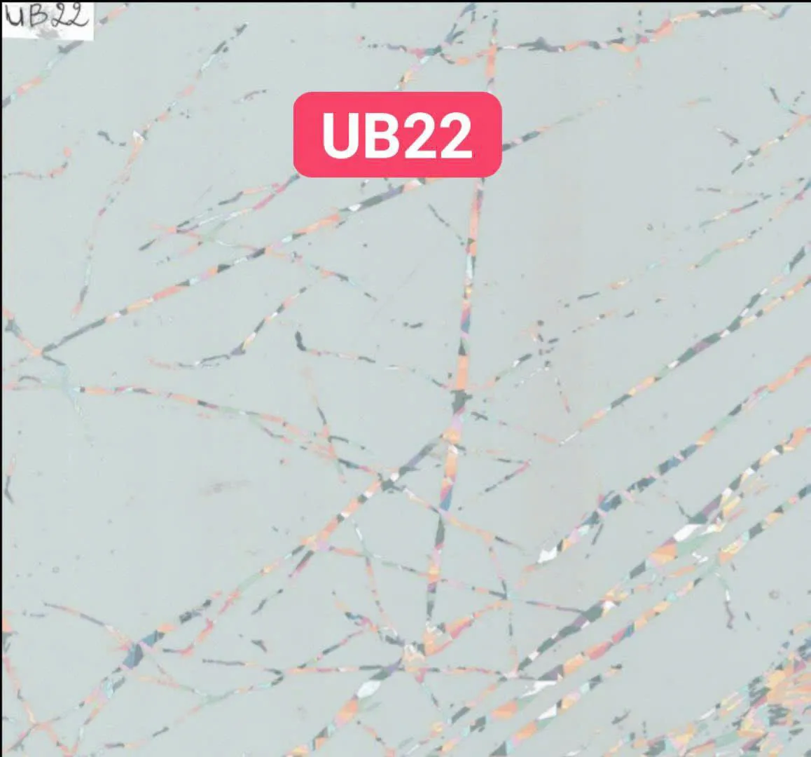 Lưu nháp tự động