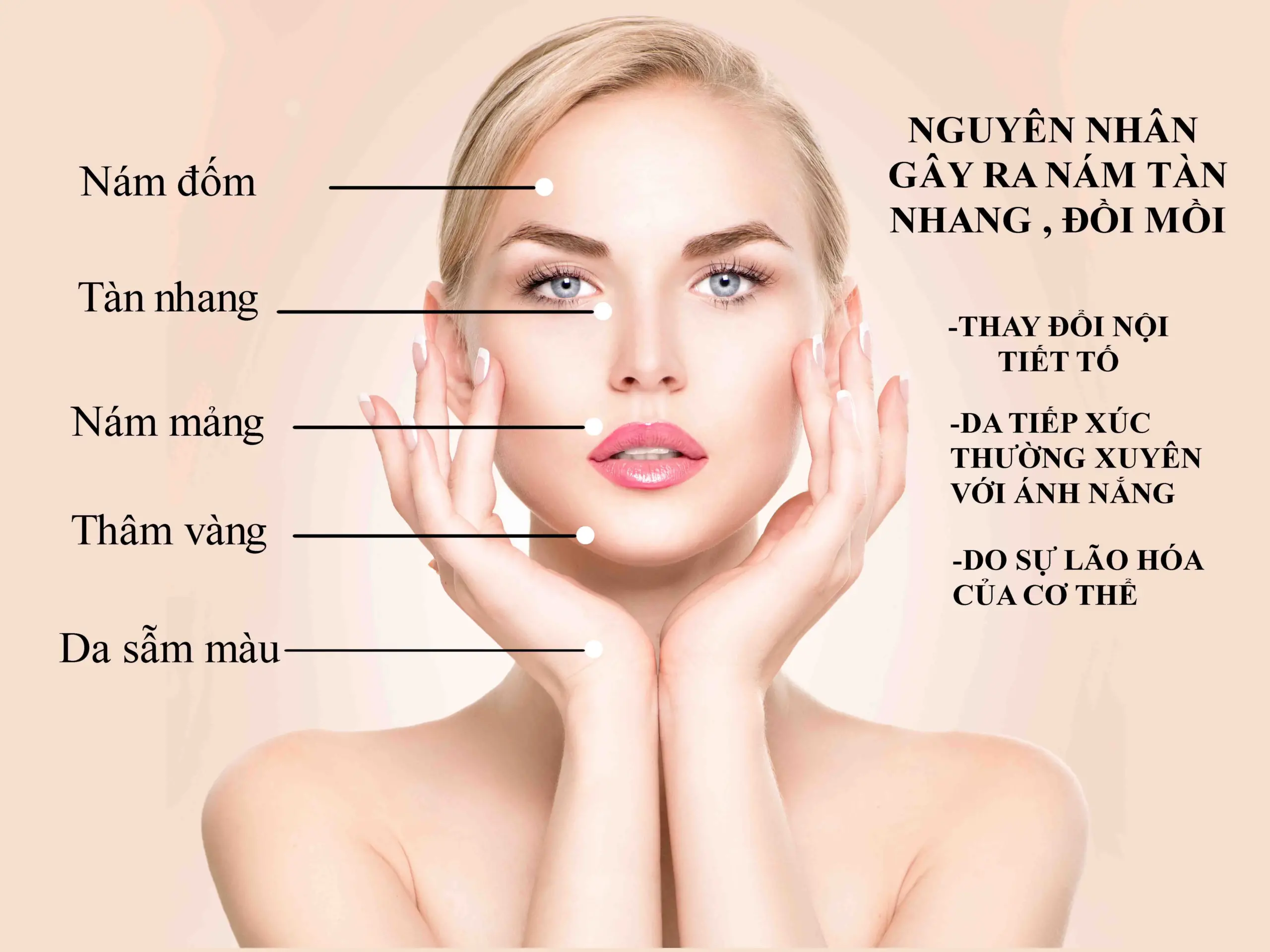 Tranh dán tường dưỡng sinh đông y