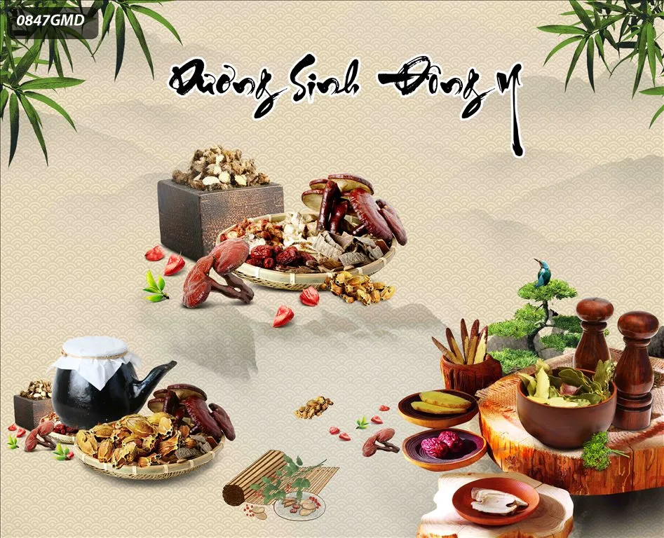 Tranh dán tường dưỡng sinh đông y