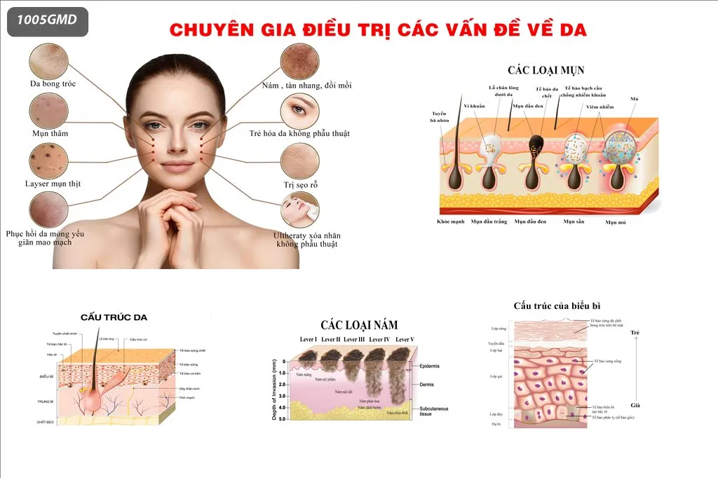 Tranh dán tường dưỡng sinh đông y